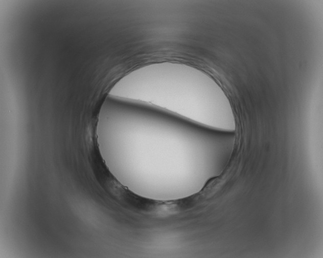 X0000113870333200909241011