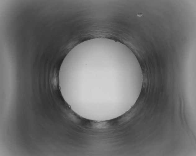 X0000113870334200909241011