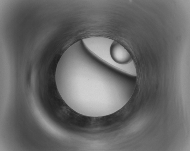 X0000113870335200909241011