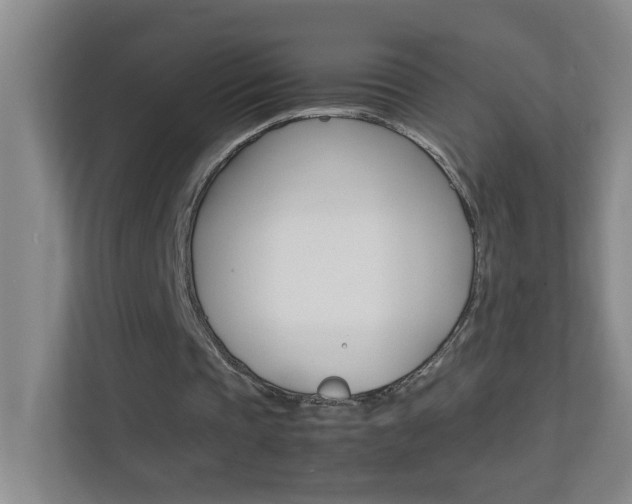 X0000113870337200909241010