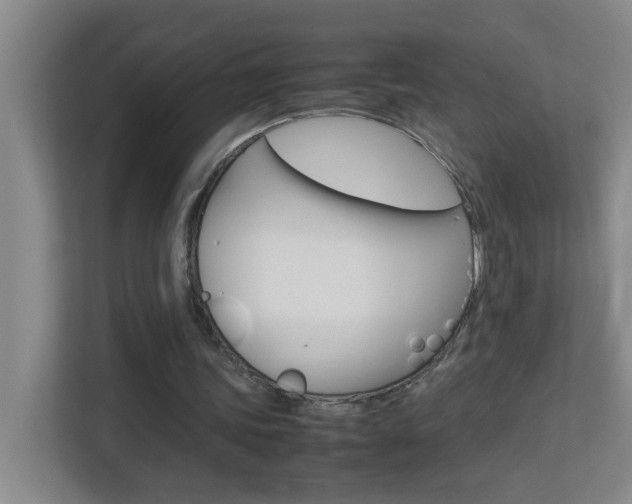 X0000113870339200909241010