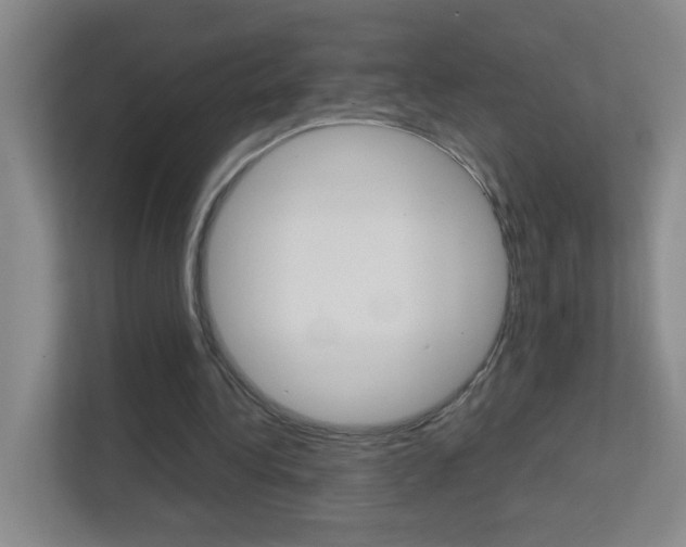 X0000113870340200909241010