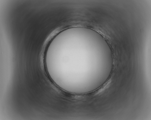 X0000113870341200909241010