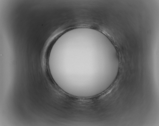 X0000113870343200909241010