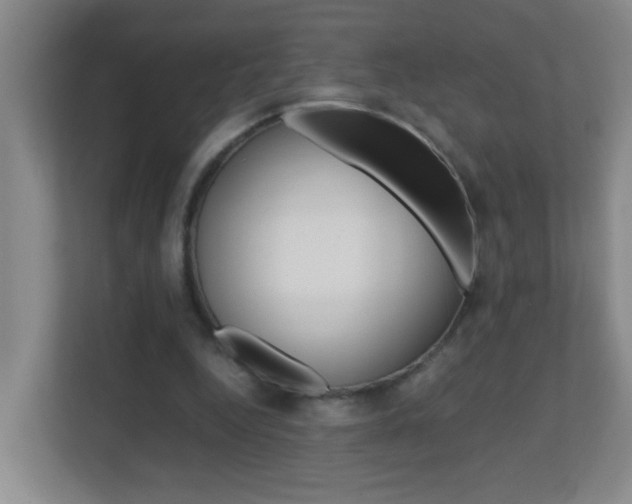 X0000113870344200909241010