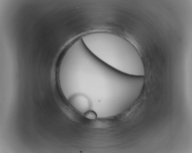 X0000113870346200909241010
