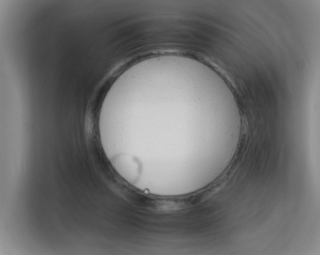 X0000113870347200909241010