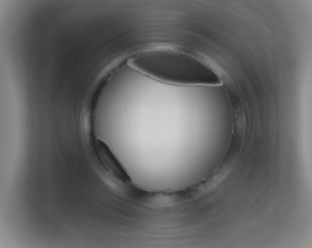 X0000113870350200909241011