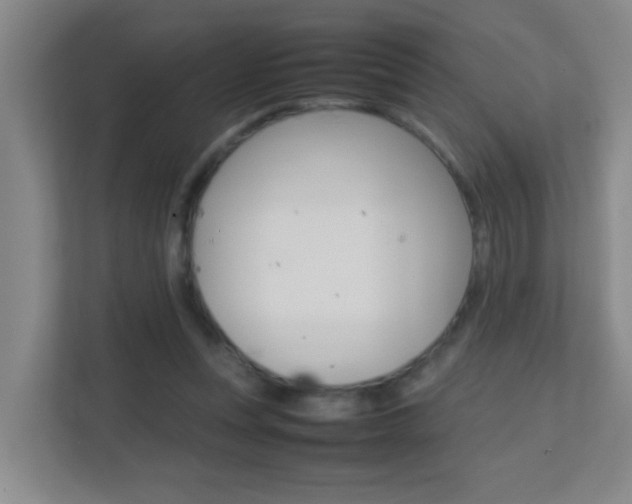 X0000113870351200909241011
