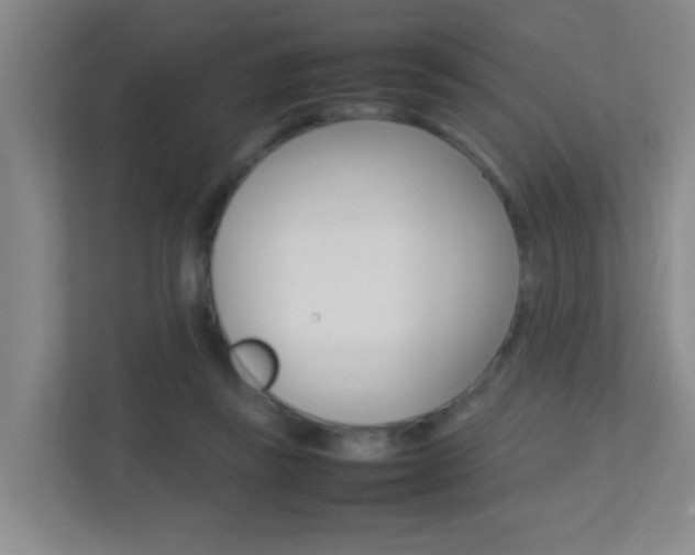 X0000113870355200909241011