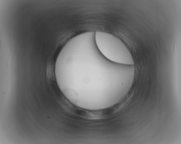 X0000113870359200909241011