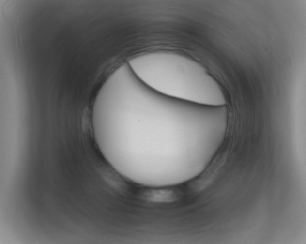 X0000113870361200909241011
