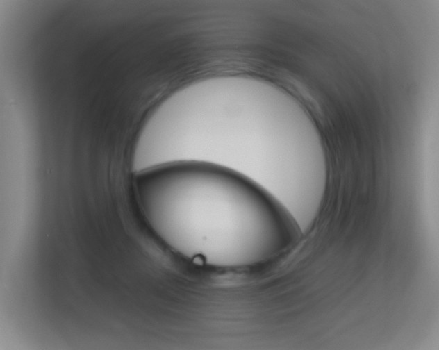 X0000113870362200909241011