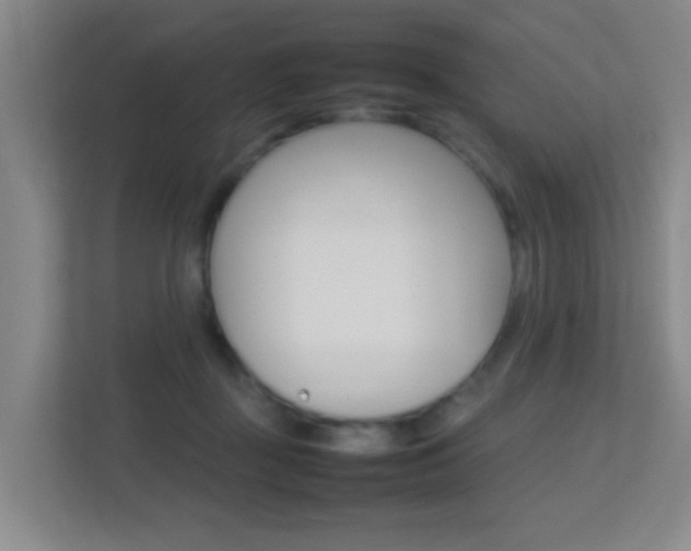 X0000113870363200909241011
