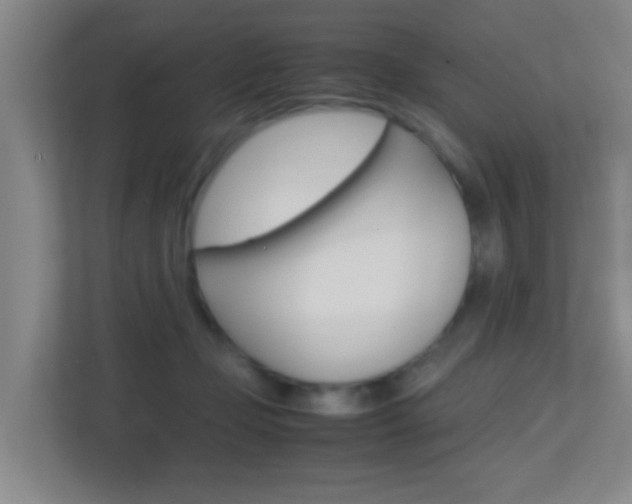 X0000113870365200909241011