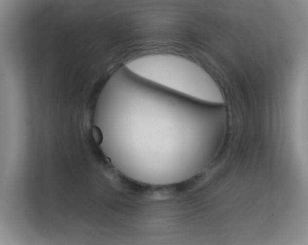X0000113870368200909241011