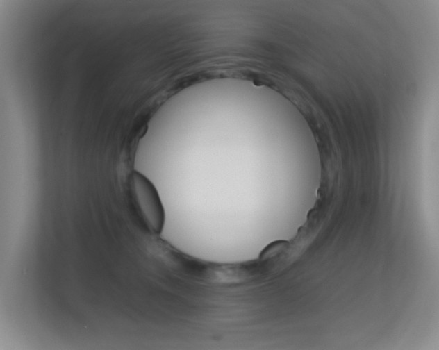 X0000113870372200909241011