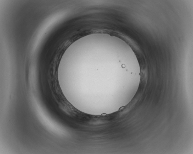X0000113870381200909241011