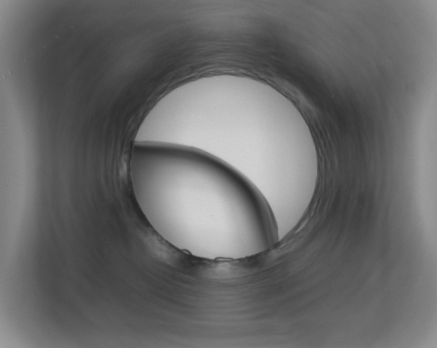 X0000113870382200909241011