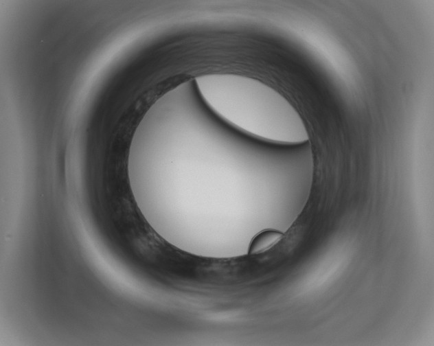 X0000113870383200909241011