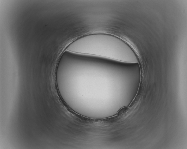 X0000113870385200909241010
