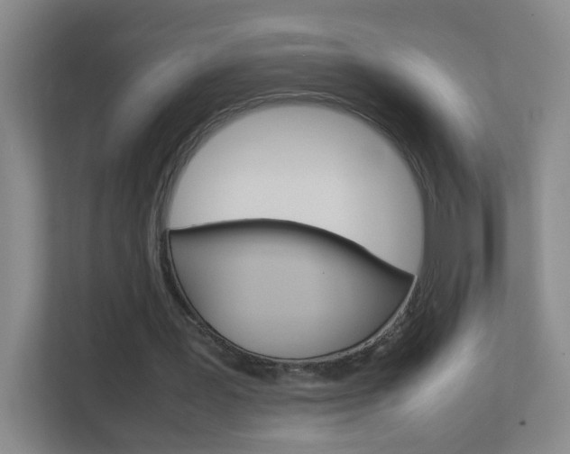 X0000113870387200909241010