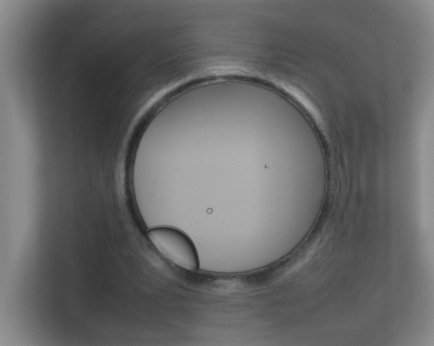 X0000113870391200909241010
