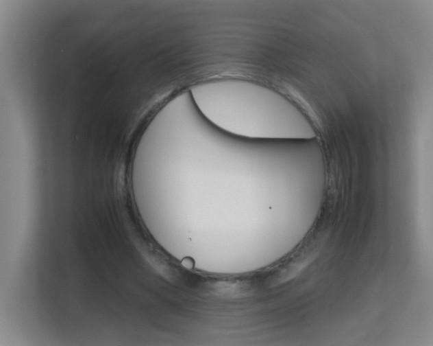 X0000113870394200909241010