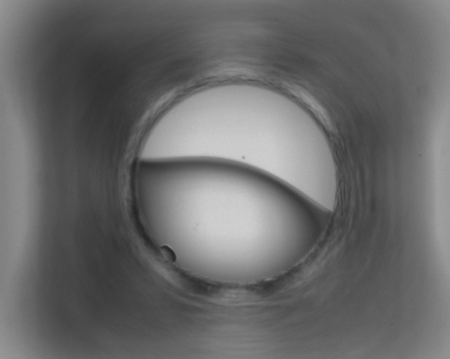 X0000113870399200909241010