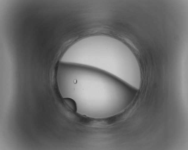 X0000113870403200909241010