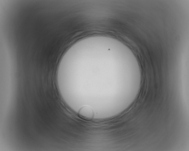 X0000113870409200909241010