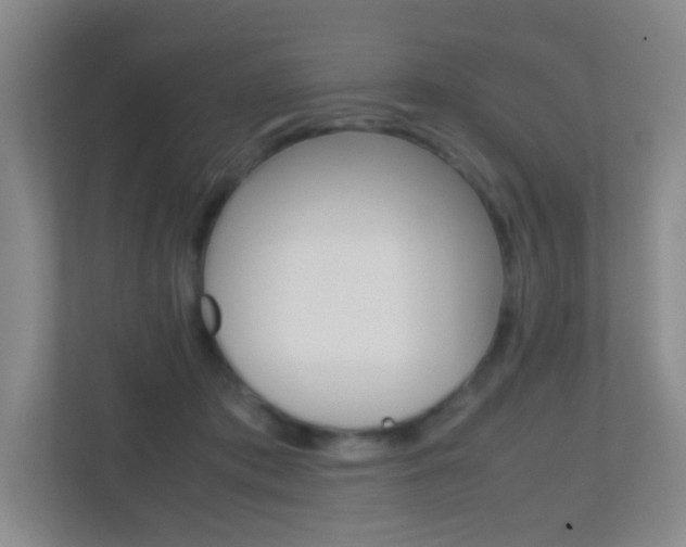 X0000113870413200909241010
