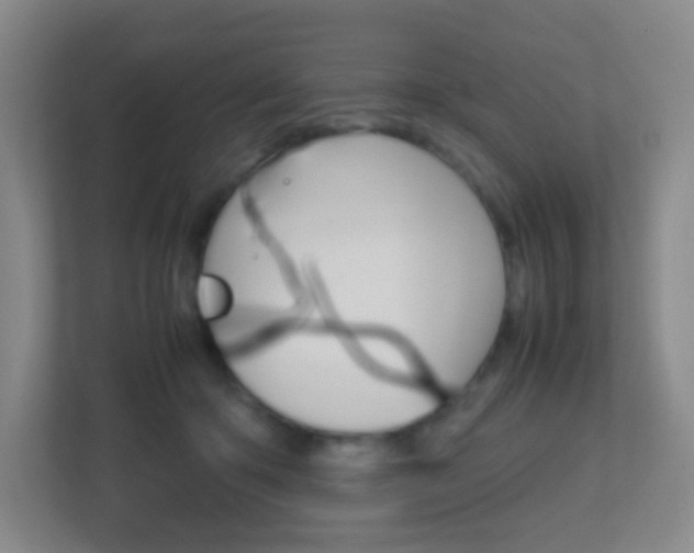 X0000113870414200909241010