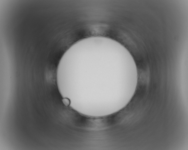 X0000113870419200909241010
