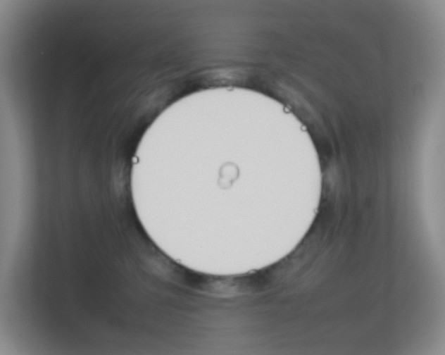 X0000113870423200909241010