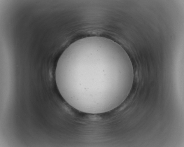 X0000113870424200909241010