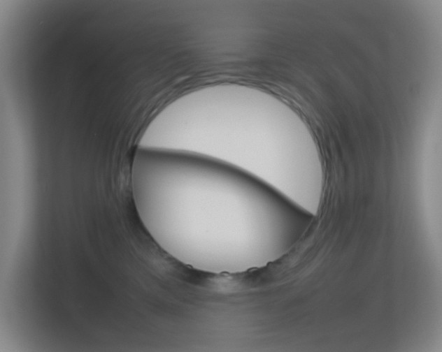 X0000113870425200909241010