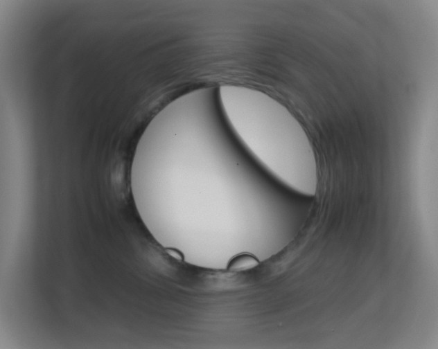 X0000113870428200909241010