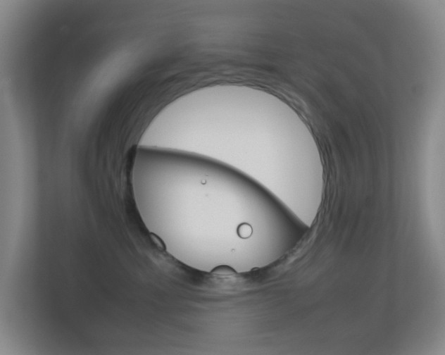 X0000113870429200909241010