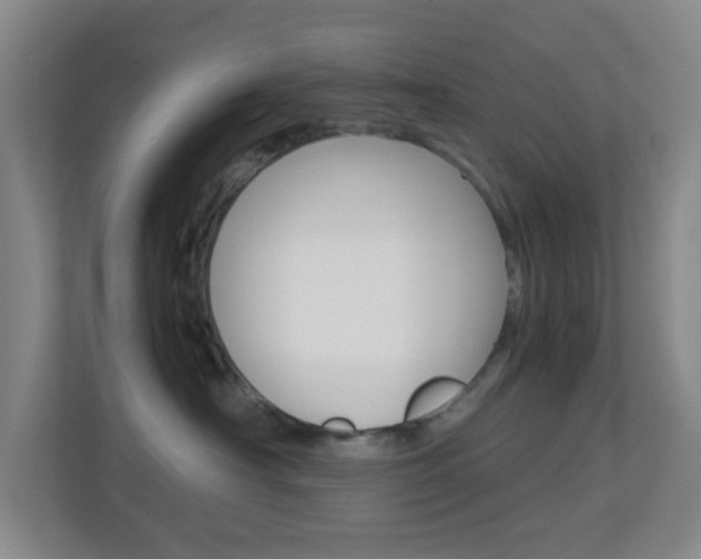 X0000113870430200909241010