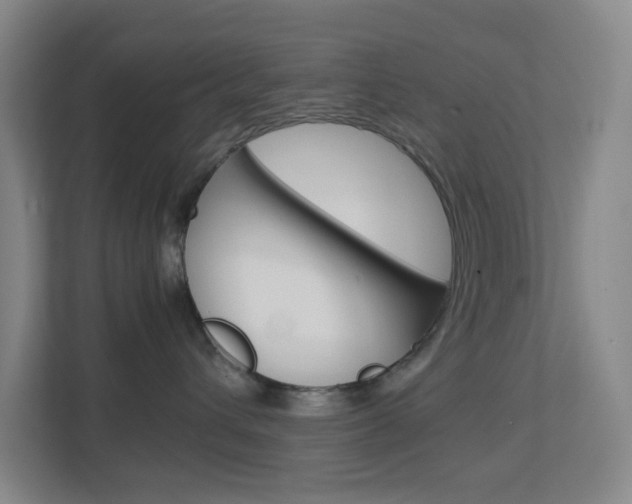 X0000113870432200909241010