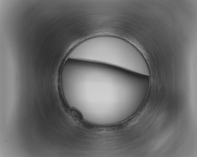 X0000113870434200909241009