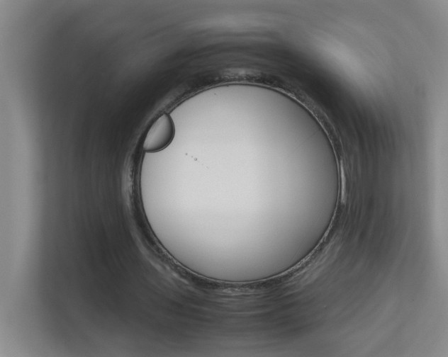 X0000113870435200909241009