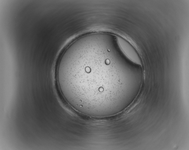 X0000113870438200909241009