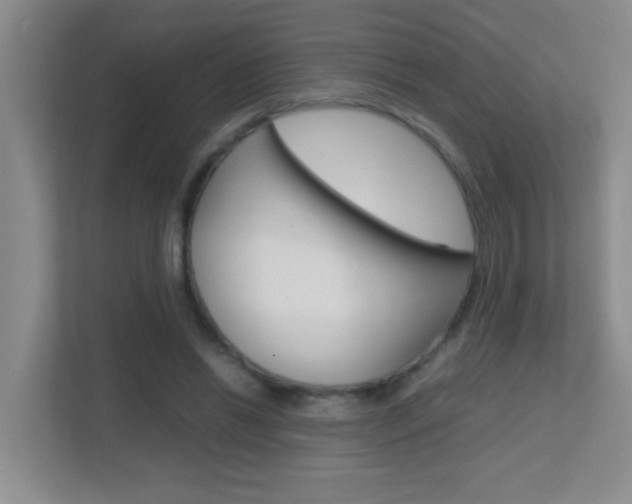 X0000113870446200909241009
