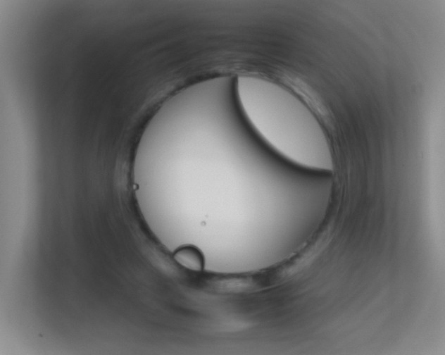 X0000113870449200909241009