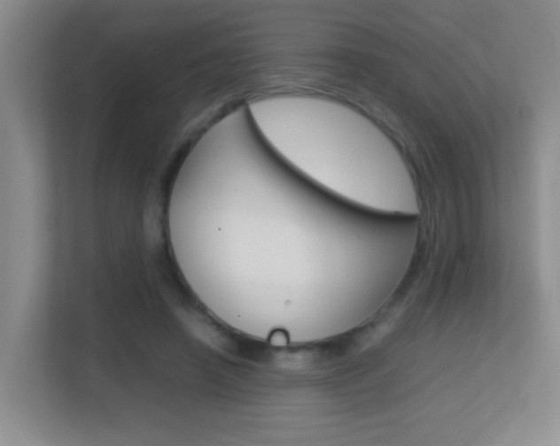 X0000113870450200909241009