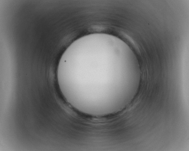 X0000113870455200909241009