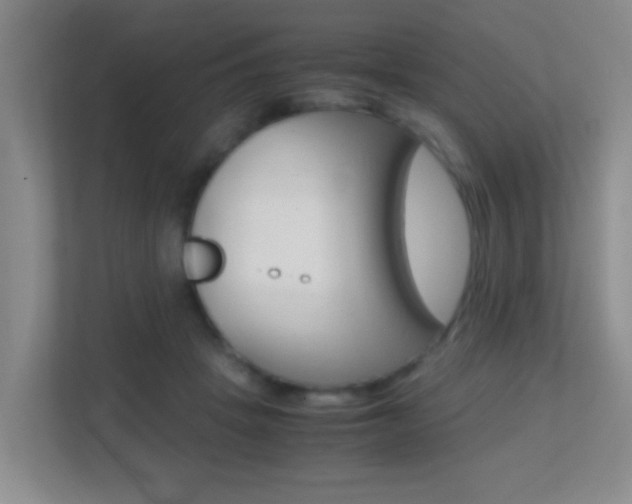 X0000113870457200909241009