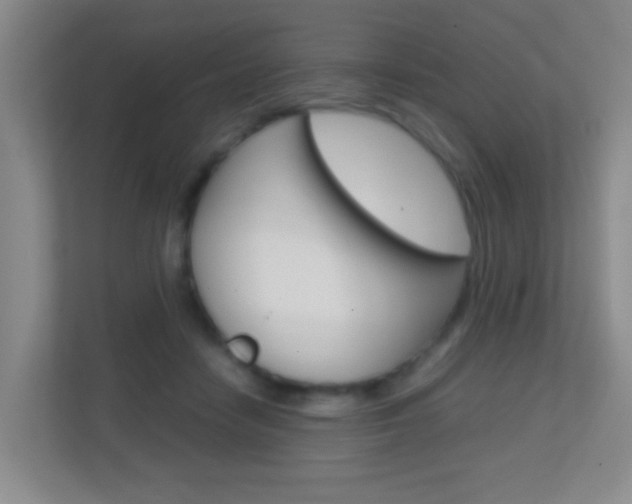 X0000113870458200909241009